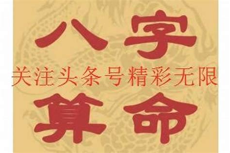 乙木八字|八字十天干详解——乙木